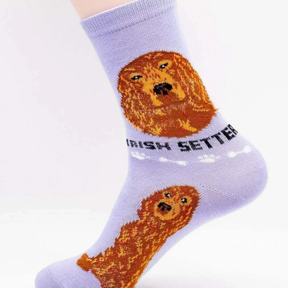 Irish Setter Hunting Gundog Dogs Rescue Friendly Animal Dog Foozys Socks